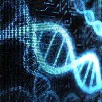 Bioinformatics  Research Internship